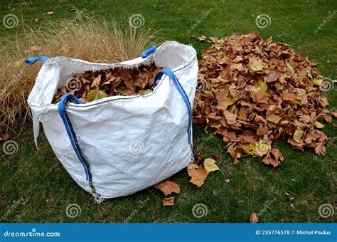 Raking Leaves on Piles. the Leaves are Taken To a Composting Plant or To a Community Composter ...