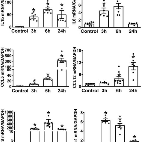 Tumor Necrosis Factor α Tnfα Treatment Results In A Dose Dependent