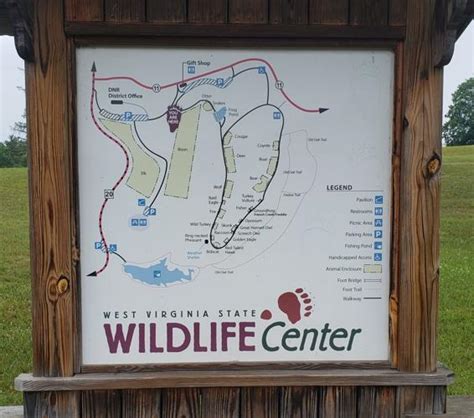 West Virginia State Wildlife Center To Reopen Friday Following Annual