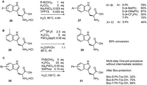 Catalysts Free Full Text The Suzukimiyaura Cross Coupling As A