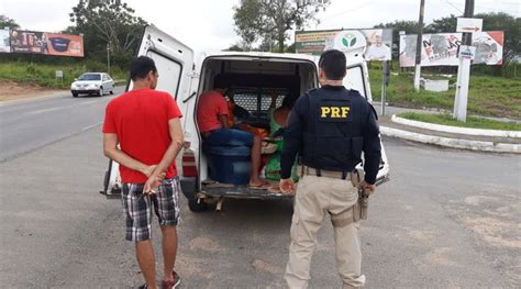 Motorista de furgão é flagrado realizando transporte irregular de