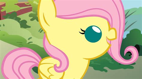 The BEST of Fluttershy! - MLP Baby Comic/Animation Compilation - YouTube