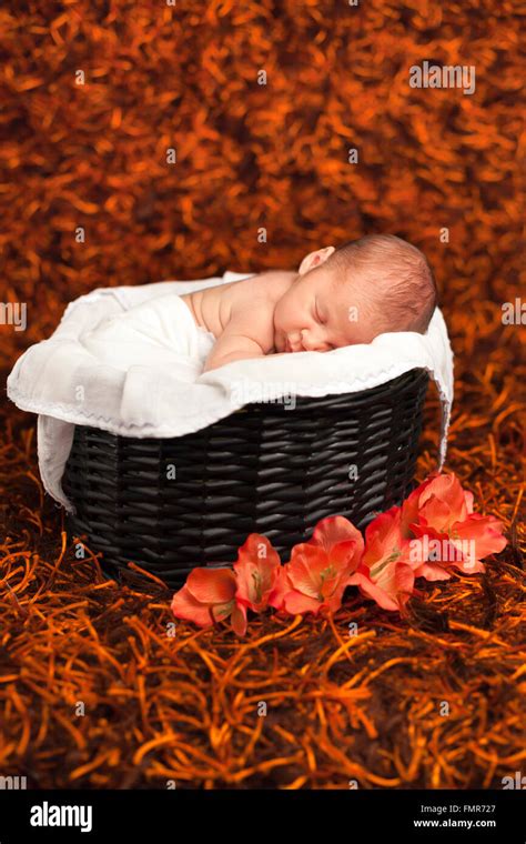 Little Newborn Baby Boy Sleeping Inside Basket Stock Photo Alamy