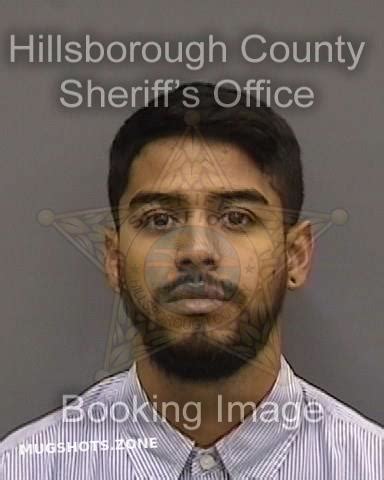 Delgado Stallone Kelvin Hillsborough County Mugshots Zone