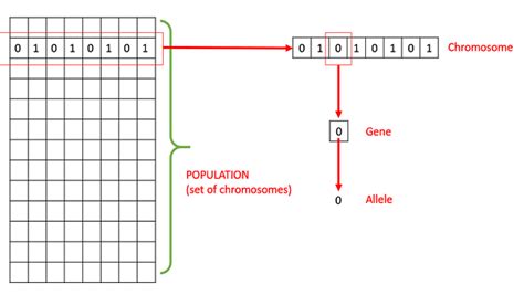 Genetic Algorithms - Fundamentals