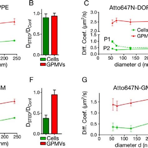 Diffusion Modes Of Atto647N Labeled Lipid Analogues In Intact Cells