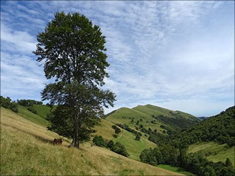 Sagno Monte Bisbino Poncione Di Laglio Sasso Gordona Monte D