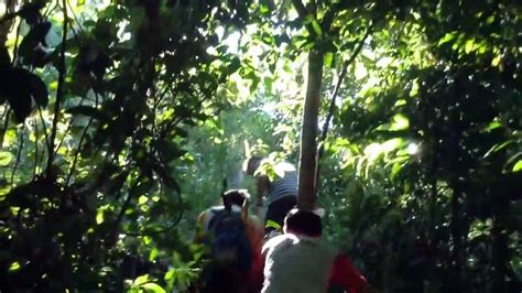 Bukit Payung Waterfall Malaysia Batu Pahat Jungle Trekking Hiking