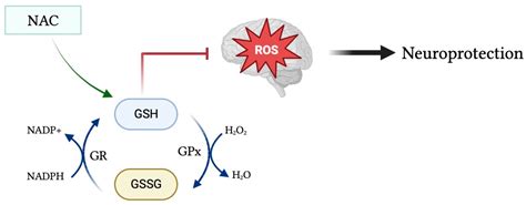 Clinics And Practice Free Full Text Potential Role Of Glutathione