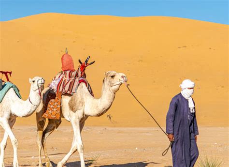 3.500+ Bedouin Man Fotografías de stock, fotos e imágenes libres de
