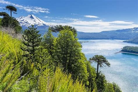 Los Parques Y Reservas Nacionales De Chile Que Tienes Que Conocer — Fmdos