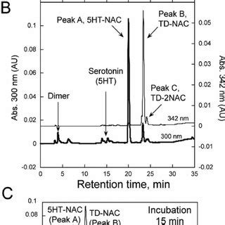 Analysis Of Essential Factors For Oxidation Of Ht By Mpo In The