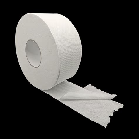 12 Rolls 2 Ply 12 5GSM Ultra Soft Virgin Wood Pulp Paper White 9 300m