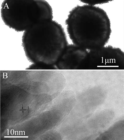 Hrtem Images Of A Several Core Shell Cuo Spheres And B The Nanorods