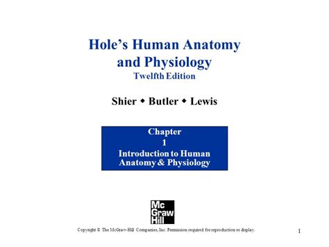 Mcgraw Hill Anatomy And Physiology Quiz - Anatomical Charts & Posters