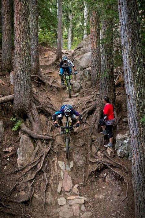 Beginner Mountain Bike Trails Near Me - Bike News