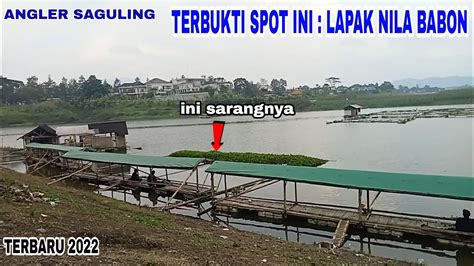 TERBUKTI SPOT INI LAPAK NILA BABON Mancing Saguling Terbaru 2022