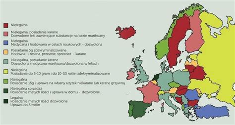 Legalizacja Medycznej Marihuany Medican Campus Cbd W Terapii Cbd Olej