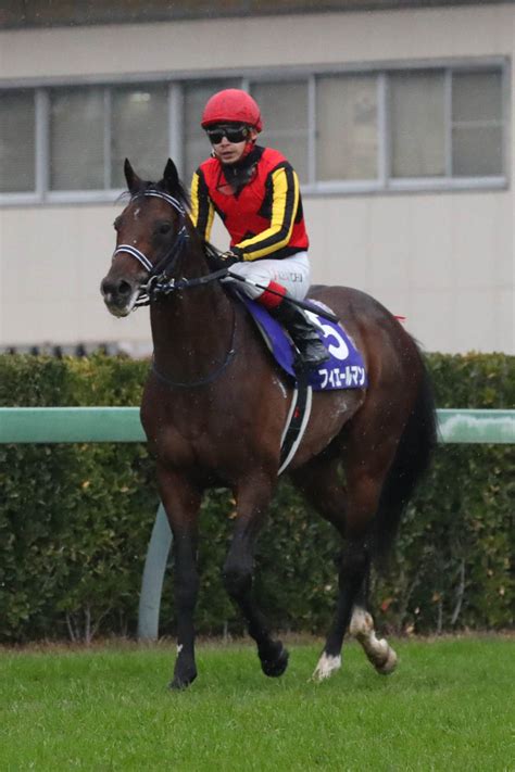 【有馬記念】代打池添のフィエールマンは4着 「一番勝ちに行ったのは自分の馬。よく頑張ってくれた」 Umatoku 馬トク