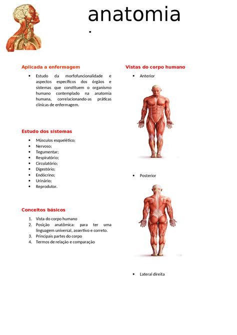 Anatomia humana aplicada a enfermagem | Resumos Anatomia | Docsity