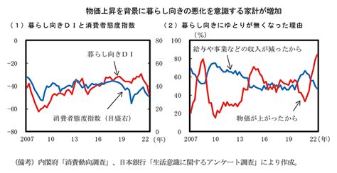 第1節 物価上昇下の個人消費 内閣府