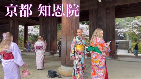 【京都の桜🌸】 着物姿の外国人観光客で賑わう知恩院 【4k】touring Kyoto 2023年3月26日 Ciao Nihon