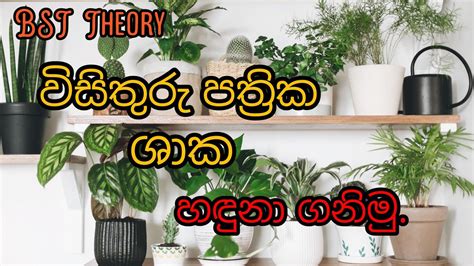 BST Theory වගම spot test වලටත ගඩක වදගත වන වසතර පතරක ශක