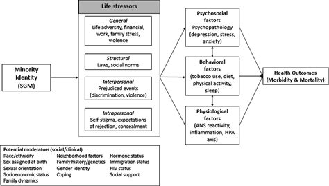 Health Communication And Sexual Orientation Gender Identity And Expression Medical Clinics