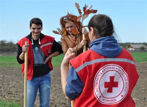 Voluntarii Crucii Rosii Plantam Copaci Societatea Na Ional De