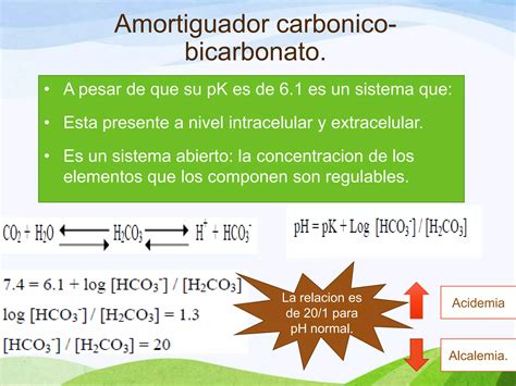 Trastornos Del Equilibrio Acido Base En Pediatria Ppt