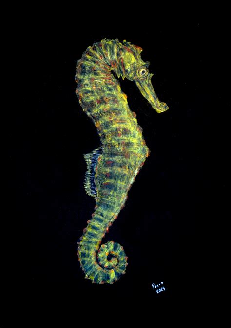 Tiger Tail Seahorse Hippocampus Comes By Ptero Pterodactylus On