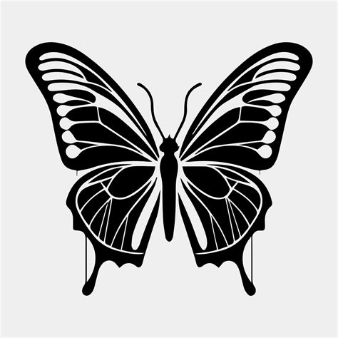 Butterfly Silhouette Vector Black And White 21193521 Vector Art At Vecteezy