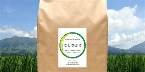 令和5年新米 自然栽培米亀の尾 玄米5kg 農薬不使用・肥料不使用 正規代理店 米