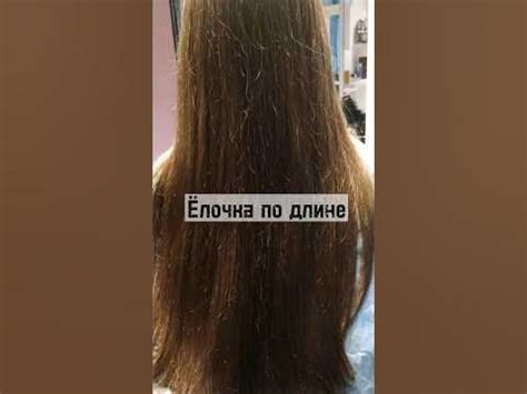 Ёлочка на волосах: как с ней справиться?🌲💇‍♀️ - YouTube