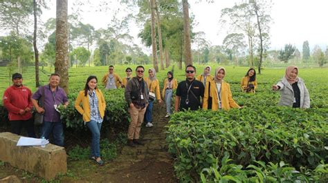 Tpf Unsoed Bantu Pengembangan Agrowisata Tambi Sebagai Destinasi Unggulan