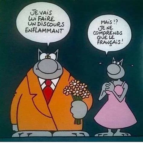 Pin By Liane Per On Le Chat De Geluck Poetry Painting French Meme Jokes