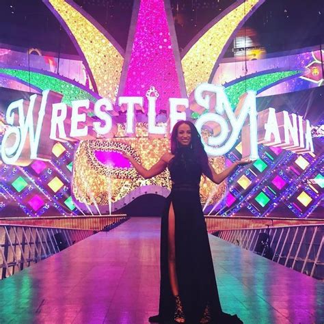 Wrestlemania 34 Rthelegitboss