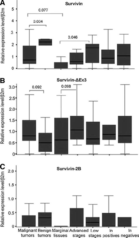 Relative B2m Normalized Transcript Levels Of The Different Survivin