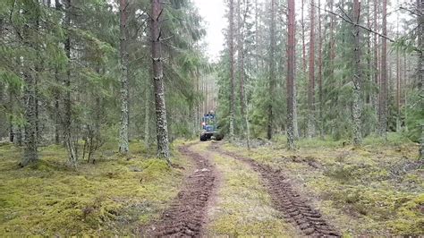 Skotaren på väg ur skogen YouTube