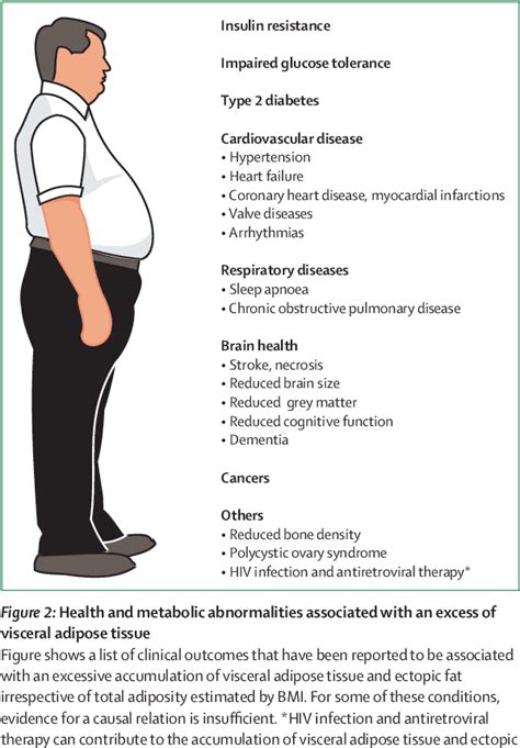 Figure From Visceral And Ectopic Fat Atherosclerosis And