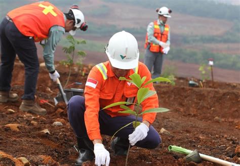 Pt Vale Wujudkan Komitmen Peduli Lingkungan Dengan Menanam Pohon