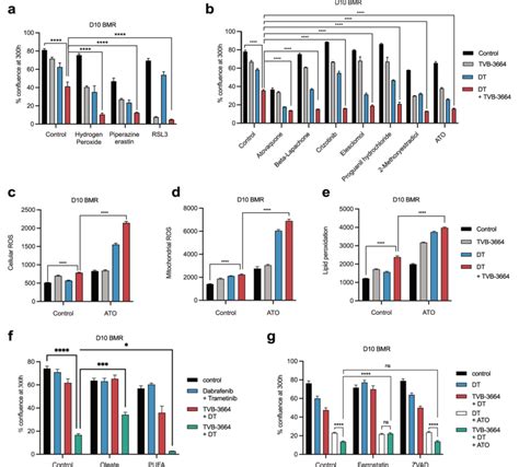 Fasn Inhibition Increases Sensitivity Of Melanoma Cell Lines To