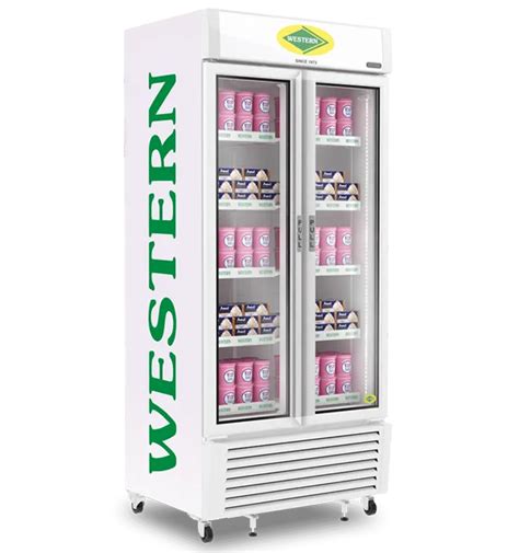 300 L Medium Western Vertical Deep Freezers At Rs 50000 In Ghaziabad