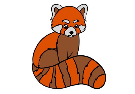 Red Panda Drawing Cute