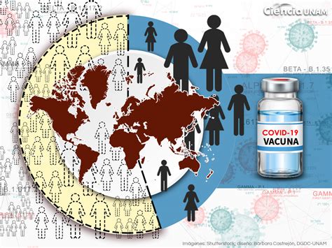 Coronavirus Distribución de vacunas los peligros del acaparamiento