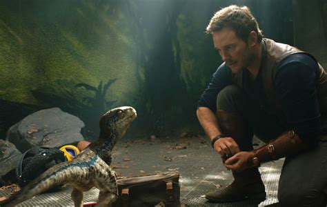 “theyre Bringing Everybody Back” Chris Pratt On ‘jurassic World 3 Cast