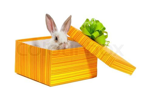 The Rabbit In The Yellow Box With Stock Image Colourbox