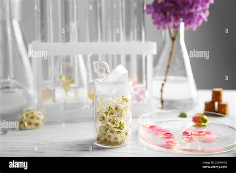 Process of making perfumes Stock Photo - Alamy