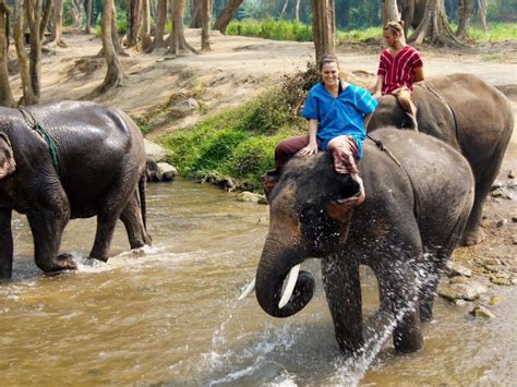 Santu Rios De Elefantes Em Chiang Mai Hellotickets