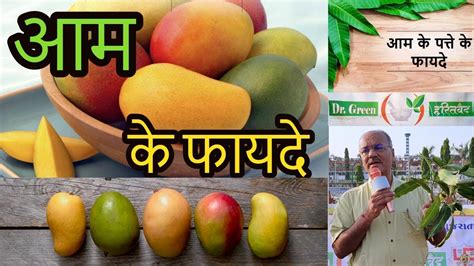 आम खाने के फायदे Mangoes Mango Nutrition Hindi Aam Ke Fayde કેરી Dr Green Ayurvedic Dr Hitesh